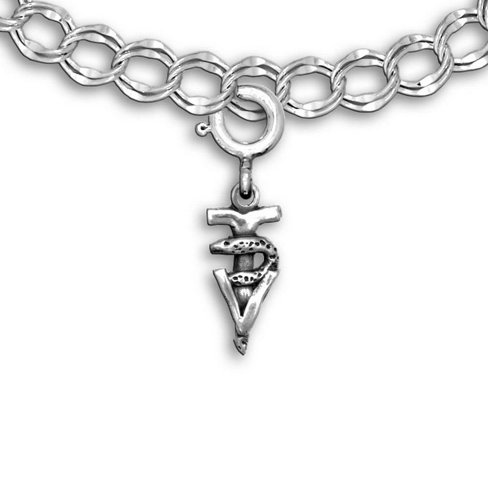 Sterling Silver Veterinary Technician Caduceus Charm for Charm Bracelet - Gifts for Vet Tech - Handcrafted in the USA