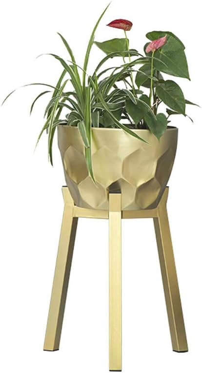 Flower Stand Living Room Balcony Decoration Metal Plant Pot Rack Modern Simple Herb Bonsai Floor-stand Outdoor Iron Art Display Shelf (Golden)(Medium)