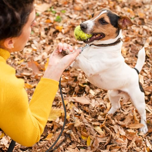 Andibro 2 Stück Kausichere Hundeleine, 66cm/26in Hundekette Leine Bissfest,Hausleine für Hunde mit Beschichtetem Stahlkabel Gepolstertem Griff Kettenleine für Große Kleine Hunde Training
