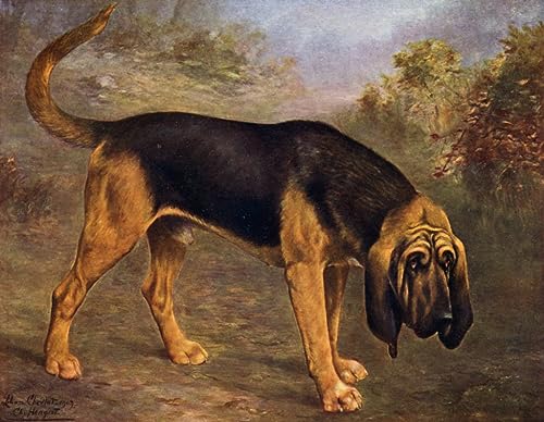 Peinture le Bloodhound de Lilian Cheviot pour salon élégant