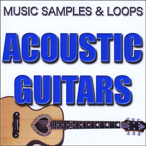 Best Acoustic Guitar Sample Instruments Expert Review The Modern