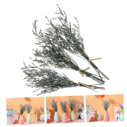 Ramo pequeño de flores secas Gypsophila para decoración miniatura 5