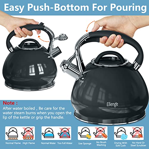 Bollitore a Fischio in Acciaio Inox Teiera