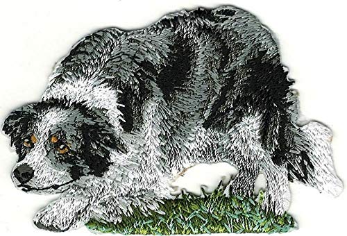 Border Collie Dog Breed Patch Embroidered Applique