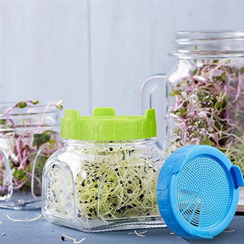 6 Pack Plastic Jar Sprouting Lid, Easy Rinse & Drain for Wide Mouth Mason Jar Lids, Grow Bean Sprouts, Alfalfa, Salad Sprouts etc