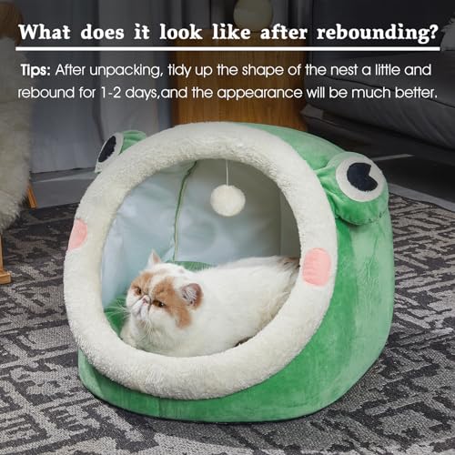 Jiupety Cute Cat Bed, Indoor Lovely Velvet Igloo for Cat and Small Dog, Warm Cave Sleeping Nest Bed for Puppy and Kitten, Green Frog, L - Image 6