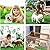 STARROAD-TIM 80 * 100 CM Artificial Grass Rug Turf for Dogs Indoor Outdoor Fake Grass for Dogs Potty Training Area Patio Lawn Decoration