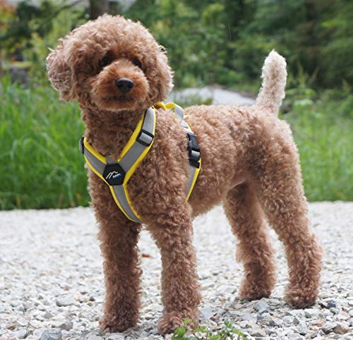 Hakusan Zero Harness (S, Yellow x Grey)