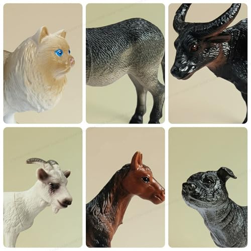 Image of SHAKTISM Farm Animal Toys Set - Realistic Farm Animal Figures for Kids, Educational Playset for Ages 3+ - Durable Plastic Toy Animals for Preschool & Toddler Learning (1205 Mini Farm 6Pc)