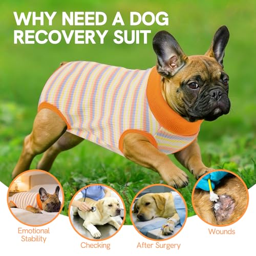 Image of SAWMONG Recovery Suit for Dogs Female Male, Cotton Breathable Dog Onesie After Surgery Spay Neuter, Professional Pet Surgical Suit, Substitute E-Collar Cone (Orange Stripes, 2XL)