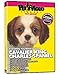 Produktbild CAVALIER KING CHARLES SPANIEL DVD! Includes Dog & Puppy Training Video