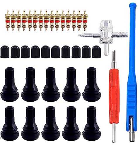 GTIWUNG Demonte Valve Pneu Outil, Valve Core Remover pour Voiture Remplacement, TR412 Valve Pneu, Valve Core, 4-1 Outil de Réparation de Valve de Pneu,...