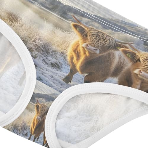 Two Highland Cows Winter Snow Toddler Girls's Underwear 2T 202b86184