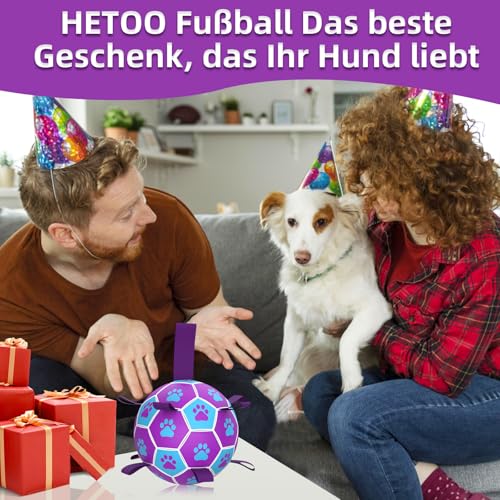 HETOO Hundeball Hundespielzeug Ball mit Griff für Hund Interaktives Schleppen von Krieg Wasser Hundebälle Spielzeug Geburtstagsgeschenk für Mittel/Große Hunde (6 Zoll Lila Blau)