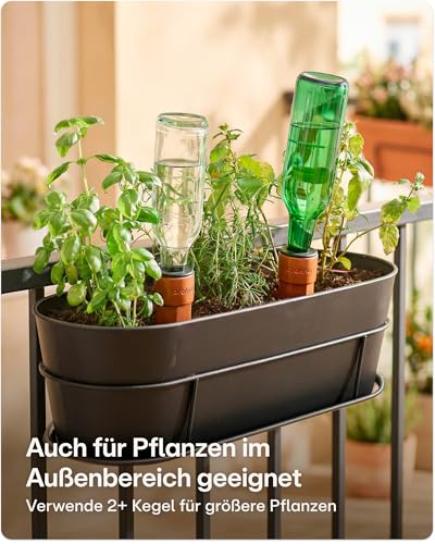 Praknu 6x Tonkegel Bewässerung Groß – Bis zu 14 Tage – Auslaufsicherem mit Adapter – Bewässerung für Zimmerpflanzen im Urlaub – Wasserspender Pflanzen – Bewässerungssystem