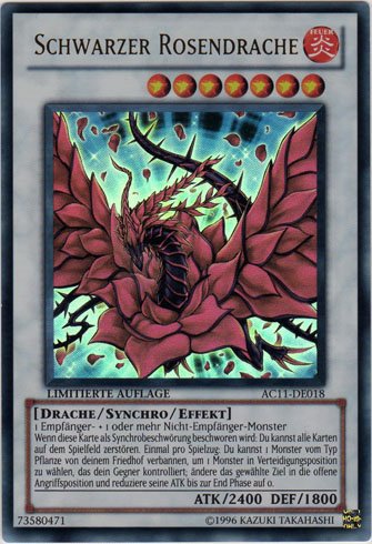 m81407183738_1.jpg?1629643487｜遊戯王OCG デュエルモンスターズ(外国 
