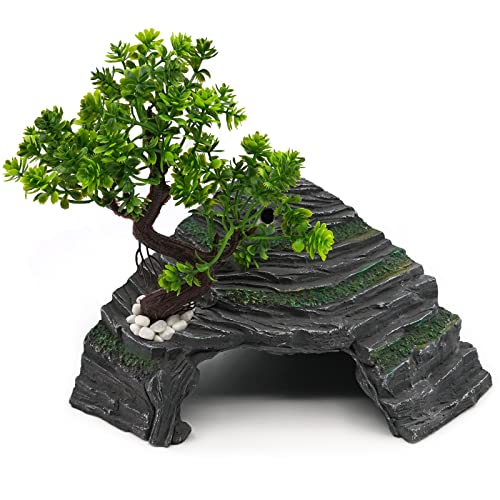 Bearded Dragon Basking Rock Best Way To Heat Your Pet