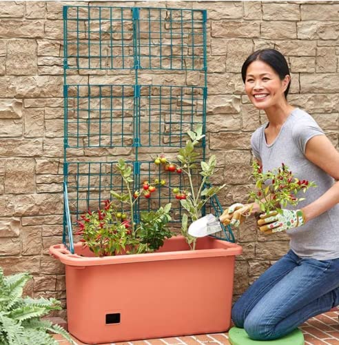 The Lakeside Collection Vegetable Planter with Wheels...
