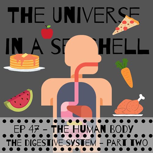 Page de couverture de The Human Body – The Digestive System – Part Two