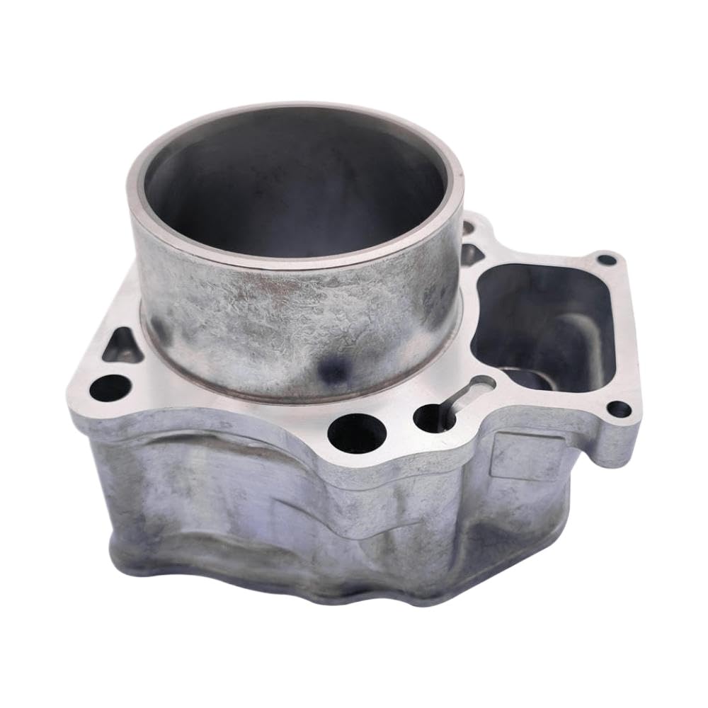 1SET Kit di guarnizione su anelli del pistone cilindri 12100-7-A00 12100-5-600 compatibile con 2007-2018 TRX420 FE FM TM TM ATV Parti del motore per manutenzione del veicolo