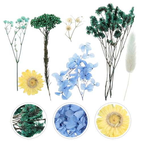 Flores secas prensadas naturales para manualidades miniatura 7