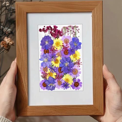 Flores secas prensadas kit para manualidades miniatura 6