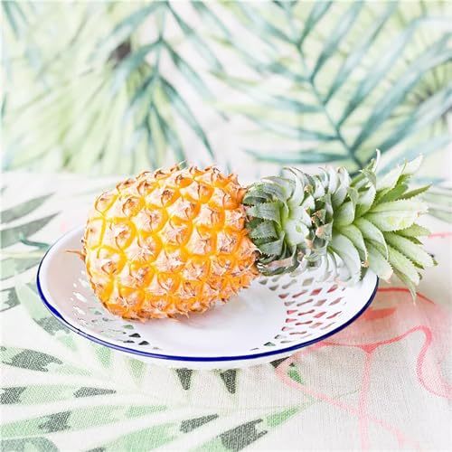 Frcctre 2 Pack Enamel Colander Strainer Bowl Plates thumb #5