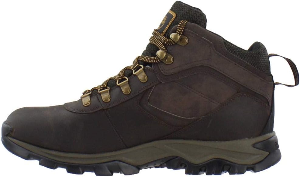 Timberland Anti-fatigue Hiking Waterproof Leather Mt. Maddsen mens Hiking Boot