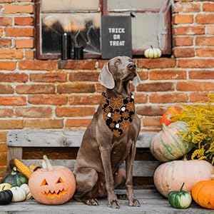 Halloween Dog Bandanas Puppy Scarf - Ghosts Spider Web Dog Outfits - 2 Pcs Adjustable Holiday Party Birthday Triangle Reversible Dog Costume for Small Medium Large Dogs Halloween Dog Bandanas Puppy Scarf Ghosts Spider Web Dog Outfits 2 Pcs Adjustable Holiday Party Birthday Triangle Reversible Dog Costume for Small Medium Large Dogs