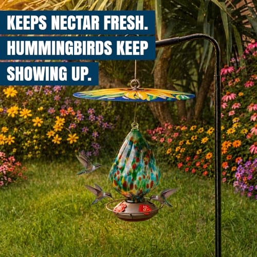 Protector de lluvia de colibrí con accesorios de flores para mantener comida seca 5