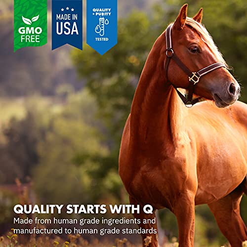image for Equa Holistics HealthyGut™ Probiotics for Horses Dietary Supplement,
