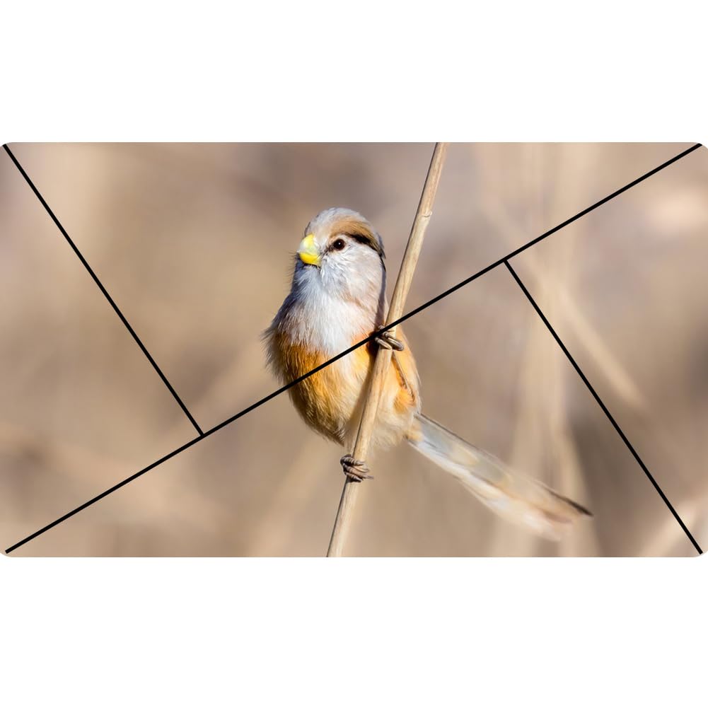 Goldener Schnitt Sucher 2 Stück - Kompositions-Werkzeug Für Fotografie & Malerei