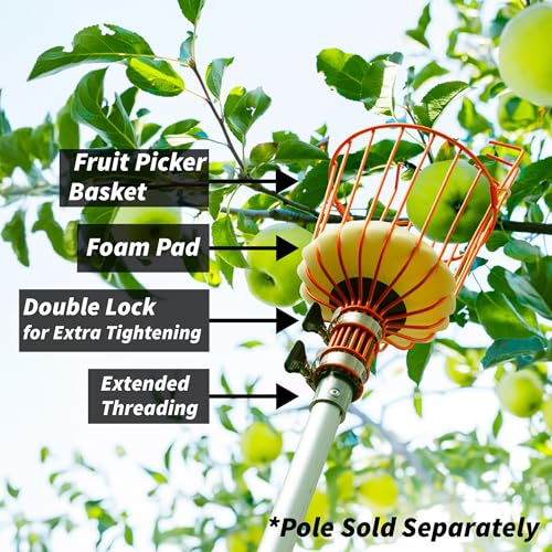 Canasta recolectora para fruta Extend-A-Reach miniatura 4