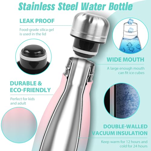 Image of Sfee Insulated Water Bottle, 17 oz Stainless Steel Water Bottles, Double Wall Vacuum Reusable Water Bottles Leak Proof BPA-FREE Sports Bottle Cup Keep Hot&Cold for Running Gym Workout Cycling Kids
