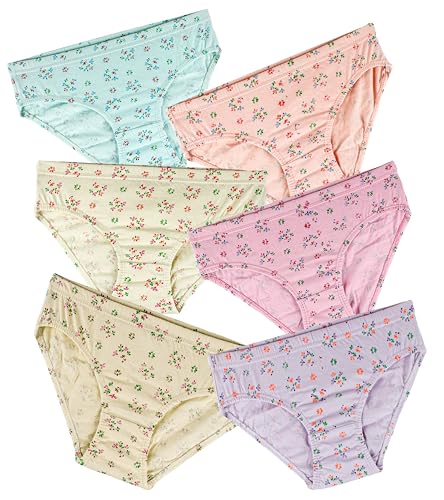 Image of SHINE STAR Women's Pack of 6 Full Coverage Hipster Panty 100% Super Combed Cotton Fabric with Inner Elastic Waistband Multicolour