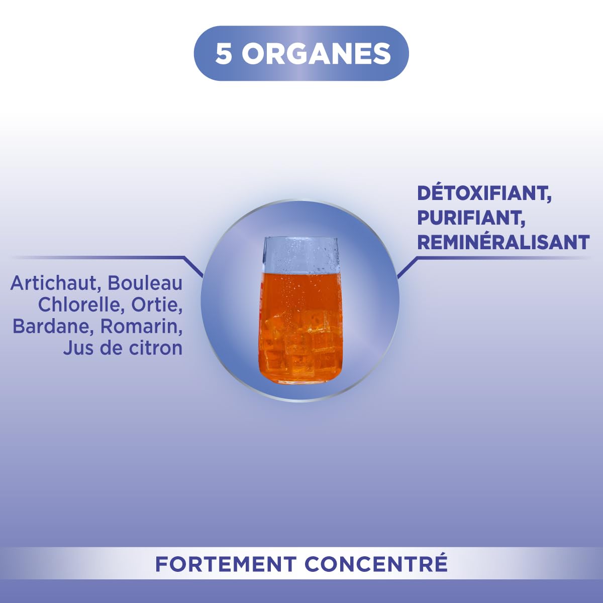 Forté Pharma - Forté Détox 5 organes - Artichaut, Bouleau, Bardane, Romarin - Complement alimentaire integrale detox, 5 émonctoires, Elimination - 2x500ml, 20 jours
