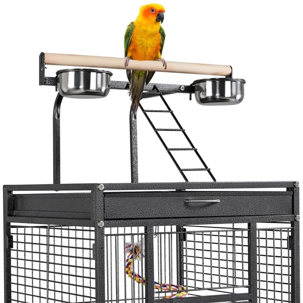 Abician Cage à Oiseaux sur Pied Voliere Oiseaux Interieur Cage pour Perruches à roulettes Grand Cage Oiseaux en Métal 66,5 x 65,6 x 156,5 cm Noir