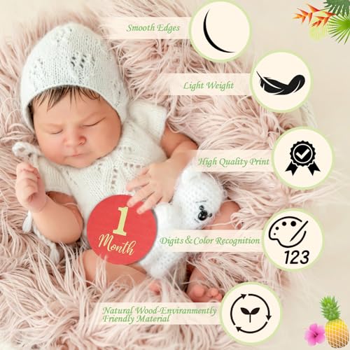 Image of Pregnancy and Baby Shower Gift, Baby Monthly Milestone Cards with Animal Print Milestone Wood Plates Includes Digits Print for Boy /Girl