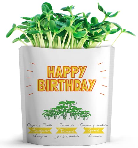 Happy Birthday Greeting Card by GIFT A GREEN | Greeting Cards with Organic Microgreens! Just Like A Post Card, Simply Mail and Recipient Gets to Grow & Eat | Cards for All Occasions | 1 Pack