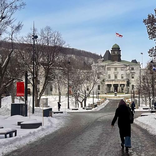 Challenging the use of AI in Quebec's Elementary Schools