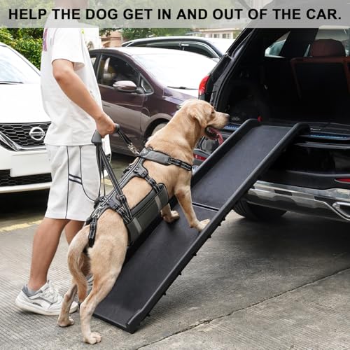 COODEO Mobility Hundegeschirr zum Heben, Notfall-Trageschlaufe, Haustier-Heckbeinstütze, Rehabilitationsweste, Hundetragetasche für ältere Hunde, Gelenkverletzungen, Arthritis (Militärgrün, M)