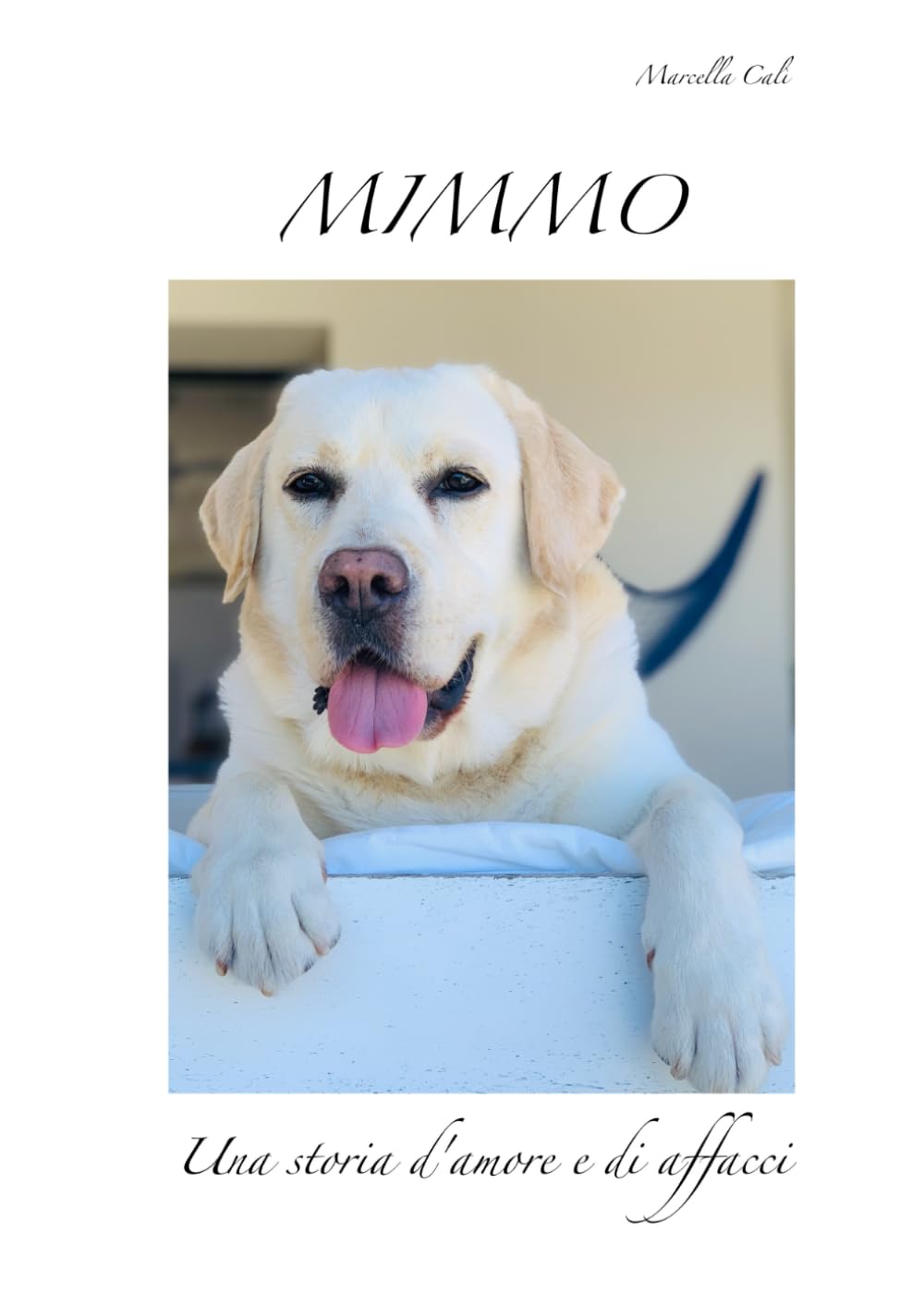 Mimmo: una storia d'amore e di affacci