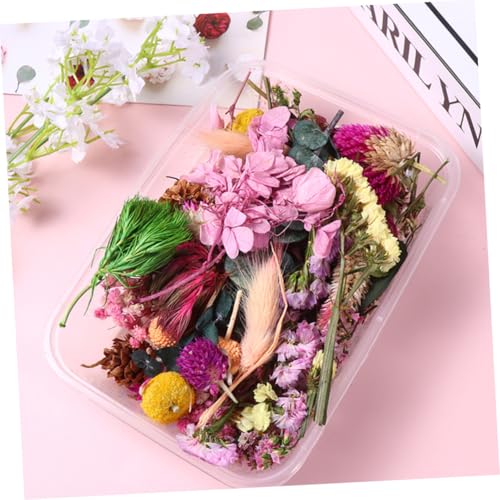 6 cajas flores secas naturales para manualidades miniatura 6