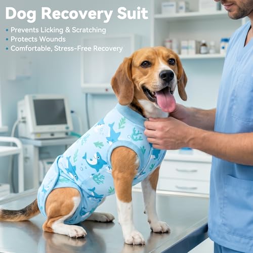 Image of cyeollo Dog Surgery Recovery Suit, Soft Surgical Body Suits for Female Male Dog, Comfy Spay Neuter Onesie for Small Medium Dogs, E-Collar & Cone Alternative, Anti-Licking Wound Pet Clothes, Shark L