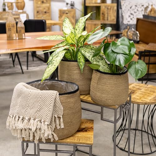 DARO DEKO Korb rund Natur mit schwarzem Rand Ø 32 x 25cm Pflanzkorb mit Einsatz Blumentopf geflochten Aufbewahrungskorb Über-Topf Regal-Körbe