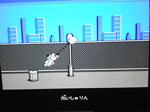 ニューヨーク・ニャンキーズの関連画像3