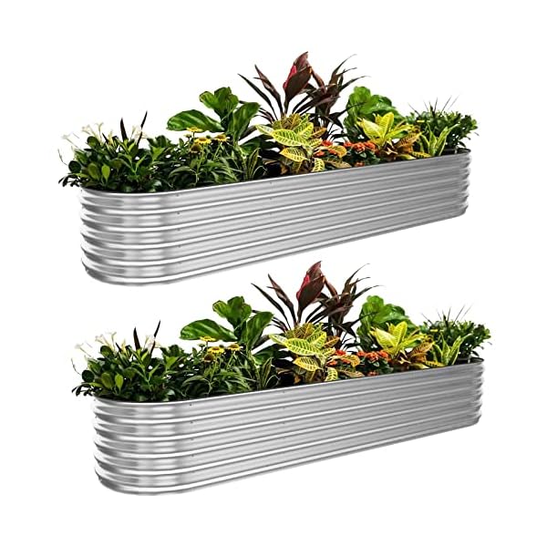 Garsence Galvanized Raised Garden Bed Outdoor 8ft X 2ft X 1ft 12 in 1 Metal Modular Raised Garden Planter Raised Bed for Growing Flowers Herbs Vegetables Bed Raised, Silver, 12" Tall, 2 Pack Garsence Galvanized Raised Garden Bed Outdoor 8ft X 2ft X 1ft 12 in 1 Metal Modular Raised Garden Planter Raised Bed for Growing Flowers Herbs Vegetables Bed Raised, Silver, 12" Tall, 2 Pack