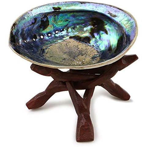Ocean Shell Studios 5-6 inches Premium Natural Abalone (Pāua) Shell with Wooden stand for Smudging, Cleansing Home, Meditation, Shell Crafts,Incense Holder, Home Décor, 100% Natural, Sustainable. Cover