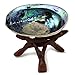 Ocean Shell Studios. 5"- 6" Premium Natural Abalone (Pāua) Shell with Wooden Tripod Stand for Smudging, Cleansing Home, Meditation, Shell Crafts,Incense Holder, Home Décor, 100% Natural, Sustainable.