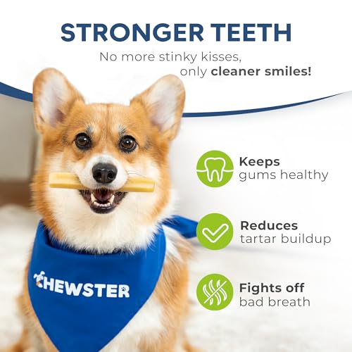 CHEWSTER Käsestangen für Hunde - Kaukäse Hundeknochen - Langer Kauspaß aus natürlicher Milch - Käse-Kauknochen (136 g, S, 4er Pack)